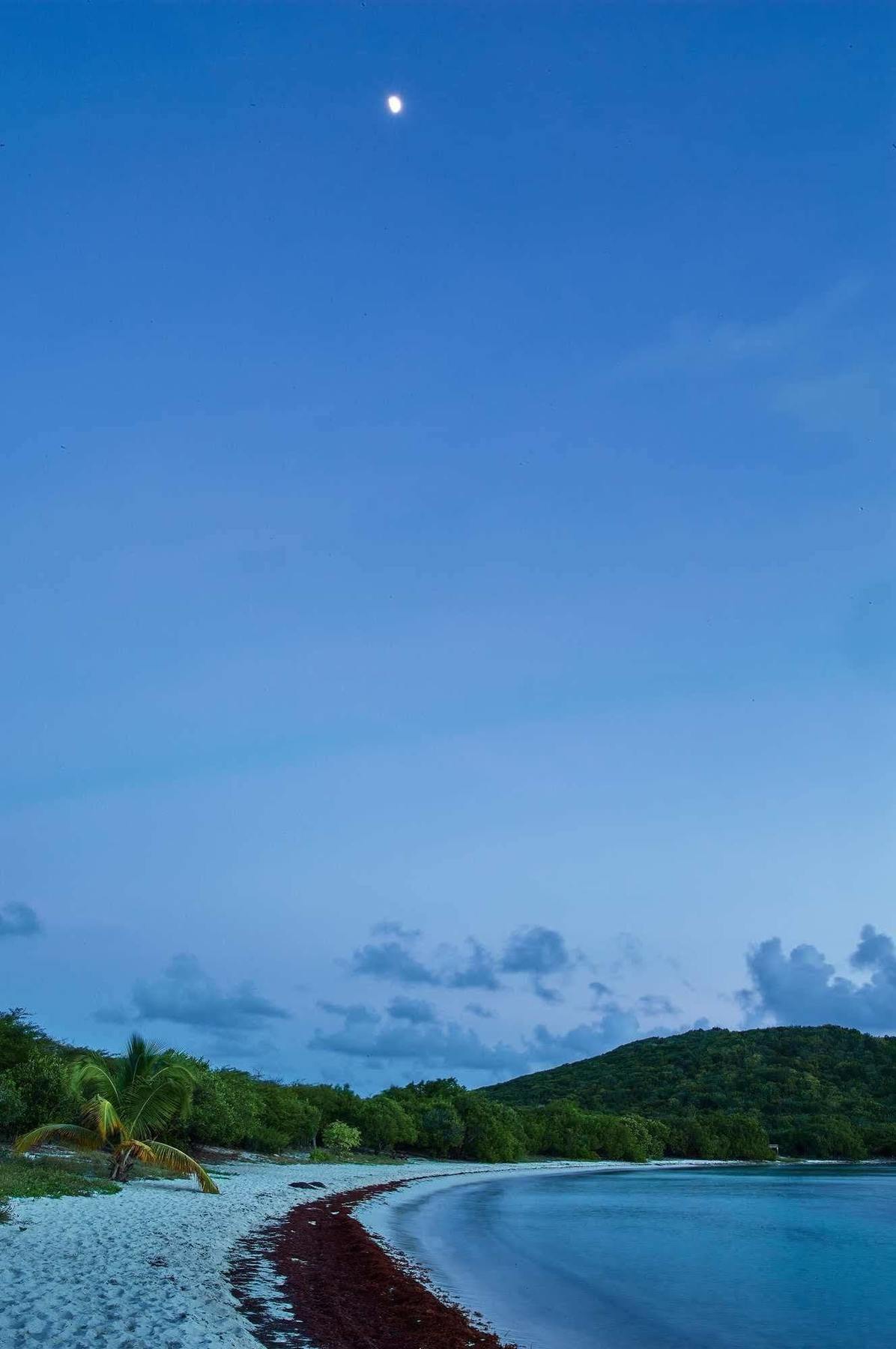 Concordia Eco Resort Εξωτερικό φωτογραφία